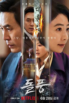 政坛旋风 돌풍.2024 字幕下载