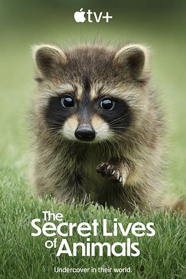 动物的秘密生活 The Secret Lives of Animals.2024 字幕下载