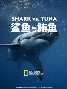 鲨鱼与鲔鱼 Shark vs Tuna.2018 字幕下载