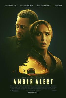 琥珀警报 Amber Alert.2024 字幕下载