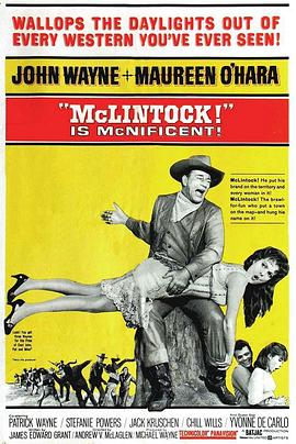 铁汉雌虎 McLintock!.1963 字幕下载