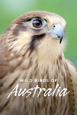 澳洲野鸟 Wild Birds of Australia.2016 字幕下载