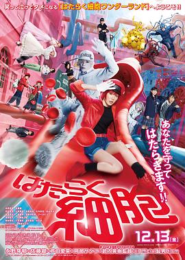 工作细胞 真人版 はたらく細胞.2024 字幕下载