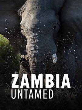 狂野赞比亚 第一季 Zambia Untamed Season 1.2018 字幕下载