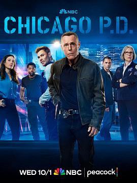 芝加哥警署 第十三季 Chicago P.D. Season 13.2025 字幕下载