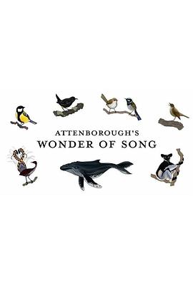 大卫·爱登堡：歌声奇迹 Attenborough's Wonder of Song.2022 字幕下载