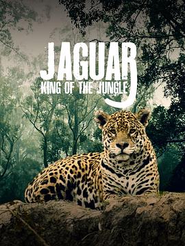 美洲豹的生存挑战 Jaguar: King of the Jungle.2020 字幕下载