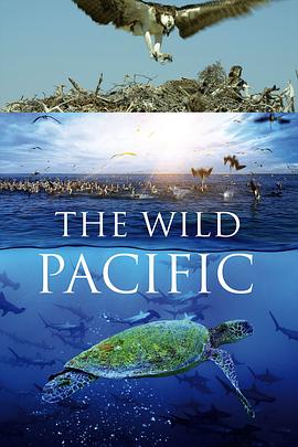 狂野太平洋 The Wild Pacific.2016 字幕下载