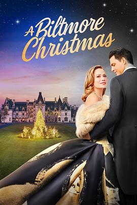 比尔特莫尔圣诞节 A Biltmore Christmas.2023 字幕下载
