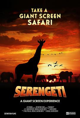 塞伦盖提大草原 Serengeti.2022 字幕下载