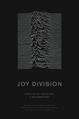 欢乐分裂 Joy Division.2007 字幕下载
