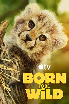 生而狂野 Born To Be Wild.2025 字幕下载