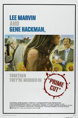 双龙大火拼 Prime Cut.1972 字幕下载