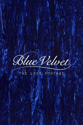 蓝丝绒：遗落的影像 Blue Velvet Lost Footage.2014 字幕下载