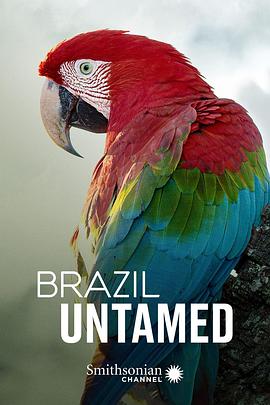 野性巴西 Brazil Untamed.2016 字幕下载