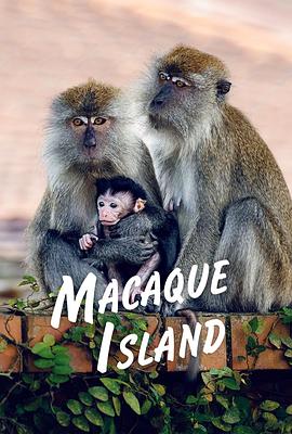 Macaque Island Season 1 .2024 字幕下载