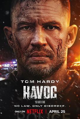 毒劫 Havoc.2025 字幕下载