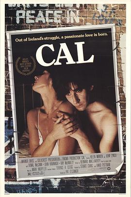 恩怨情天 Cal.1984 字幕下载
