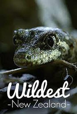 Wildest New Zealand Season 1 .2017 字幕下载