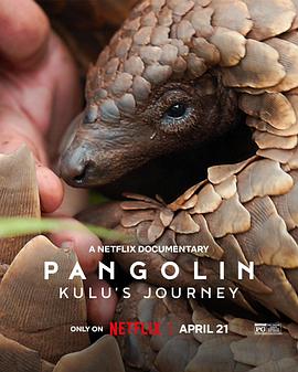 穿山甲Kulu的旅程 Pangolin: Kulu’s Journey.2025 字幕下载
