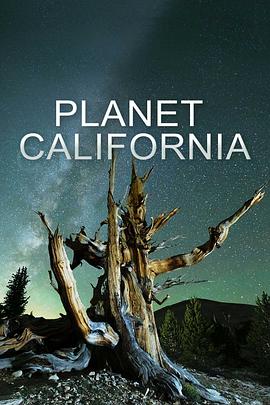 缤纷加利福尼亚 Planet California.2022 字幕下载