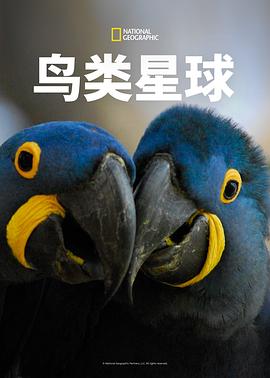 鸟类星球 Planet of The Birds.2018 字幕下载