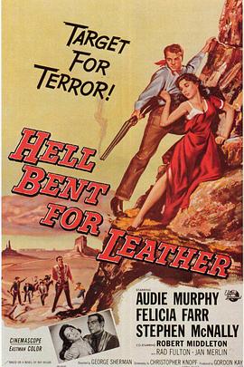 猛虎神枪 Hell Bent for Leather.1960 字幕下载