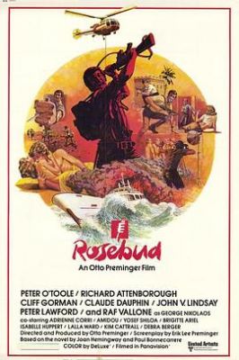 玫瑰花恋 Rosebud.1975 字幕下载