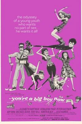如今你已长大 You're a Big Boy Now.1966 字幕下载