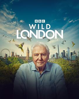狂野伦敦 Wild London.2026 字幕下载