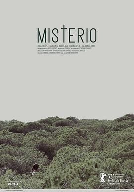 谜 Misterio.2013 字幕下载