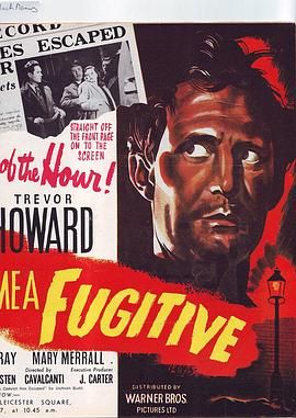 他们使我成为亡命徒 They Made Me a Fugitive.1947 字幕下载