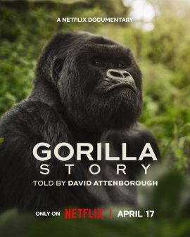 大卫·艾登堡：大猩猩的故事 A Gorilla Story: Told by David Attenborough.2026 字幕下载