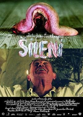 梦魇疯人院 Šílení.2005 字幕下载