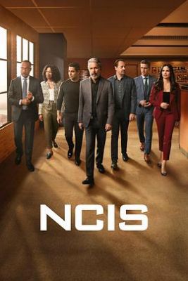 海军罪案调查处 第二十一季 NCIS: Naval Criminal Investigative Service Season 21.2024 字幕下载