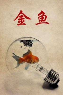 黄金鱼 .1995 字幕下载