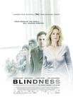 盲流感 Blindness.2008 字幕下载