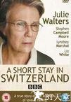 在瑞士的日子 A Short Stay in Switzerland.2009 字幕下载