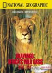 神秘三角洲 Okavango: Africa's Savage Oasis.0 字幕下载