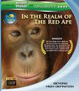 狂野亚洲：赤猿的领地 Wild Asia 1 In the Realm of the Red Ape.0 字幕下载