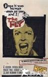 变蝇人 The Fly.1958 字幕下载