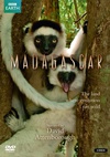 马达加斯加 Madagascar.2011 字幕下载