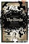 群鸟 The Birds.1963 字幕下载