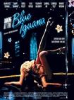 钢管舞娘 Dancing at the Blue Iguana.2000 字幕下载