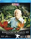 植物王国 Kingdom of Plants 3D.2012 字幕下载