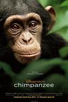 黑猩猩 Chimpanzee.2012 字幕下载