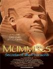 木乃伊之法老的秘密 Mummies: Secrets of the Pharaohs.2007 字幕下载