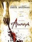 失真的画 Anamorph.2007 字幕下载