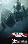 鲨鱼惊魂夜 Shark Night 3D.2011 字幕下载
