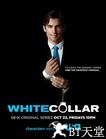 妙警贼探 第一季 White Collar.2009 字幕下载